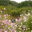 찬송농장 이미지