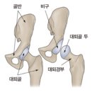 베르데미 이미지