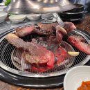 고기는한우다