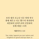 건성 이미지