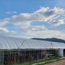 번덕뜰 민박 이미지