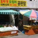 먹새 이미지