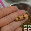 라이펙스 이미지