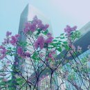 깜장수레푸드주식회사 | 2016 커피엑스포 코엑스 다녀온 후기