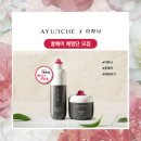꿀;헤어 이미지