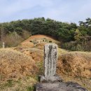 飛天蜈蚣形비천오공형(옥천 조씨 순천 입향조 조유 묘) 이미지