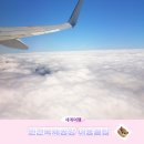 터미널스타약국 | 인천공항 터미널별 취항 항공사 라운지 출국장혼잡도어플 빠른 출국 팁 총정리