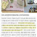 컬러드스파 이미지