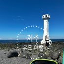 제주 여행 - 우도 여행 코스, 전기 바이크, 우도 가는 법, 그리고 여름의 우도 후기