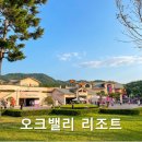 노블스타밸리1 | 오크밸리 리조트 밸리빌리지 46평 노블 A동 솔직후기! 명당 객실 예약 꿀팁, 모바일 체크인, 부대시설...