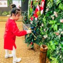 동그란어린이집 30m 경계 | 경기도실내동물원 굼프로 곤충체험 양평동물원