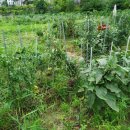 농산물안정성분석센터3 이미지