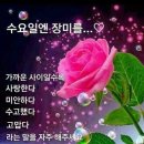 12월17일 수요일 출석부 이미지