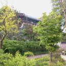 용흥궁공원 이미지