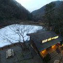 영규농장 이미지