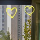 베란다/창문 미세방충망 교체, 현관문 롤 방충망 설치 후기!! (업체 : 성동구 글라스매직케어)