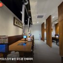 PC토랑 진해본점 | [경남/진해 맛집 추천] 🍜 10년째 찾는 진해 밀면집, 목화냉면 솔직 후기