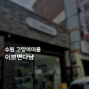 수원 고양이 미용 추천 이쁘면다냥 방문후기