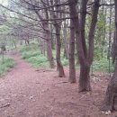 몰운대초(롯데캐슬219동앞2) | 부산 사하 아미산(234M, 아미산 전망대~응봉 봉수대)