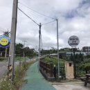 브릭 216 이미지