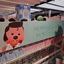잔망루피 팝업스토어 운영 | 광주신세계 잔망루피 팝업스토어 웨이팅 후기와 운영정보