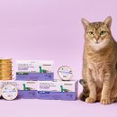 닥터펫푸드 이미지