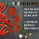 충남방앗간 이미지