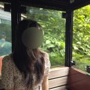 에코목장 | 제주 에코랜드 테마파크 후기 | 커플 데이트코스, 성인 어른 방문 추천