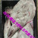 임여사수산