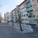 사과나무한방병원 이미지