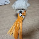 또루밍 네이버블로그