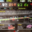 활천공원 이미지