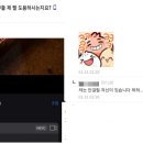 낄낄고양이 머니투데이