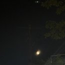 신길로61길 이미지