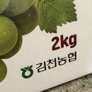 야채과일싸게파는집