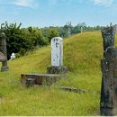 이진무묘 이미지