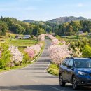 진천종합버스터미널 이미지