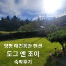 도그 엔 조이 이미지