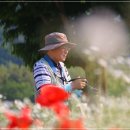 카사벨라 이미지