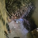 여주-1027 이미지