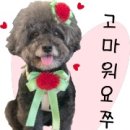 그라시아스꽃집 - 동대문구 서울시립대로 42 | 그라시아스꽃집