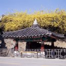 자산동118 이미지