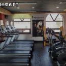 유코치의바디스토리PT 이미지