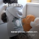 우리그래픽 - 구미시 구미중앙로 302 | 메종에떼 강아지옷 그래픽판초 후기, 자체제작 국내생산 강아지후드 입고 벗기 쉬워요