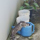 길성주유소 | 행운운전면허학원 A~D코스 정리