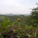 솔미농장 이미지