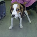 김태화동물병원 이미지