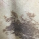 리뉴미피부과의원 이미지