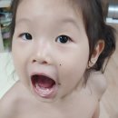 생자연