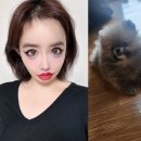 달 이미지